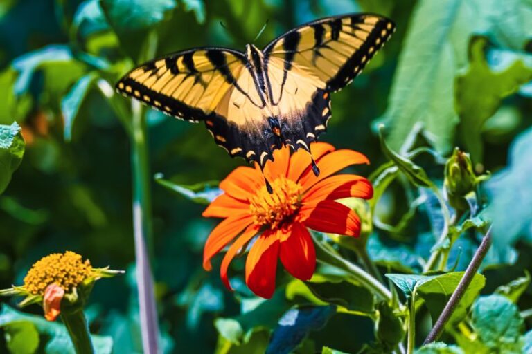 This Tall North Carolina Flower Blooms From Midsummer Into Fall, Pulling In Bees, Hummingbirds, and Butterflies