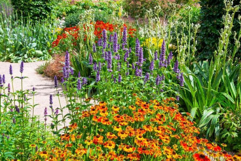 If You Want Nonstop Color With Almost No Work, Here Are 17 Long-Blooming Perennials That Deliver