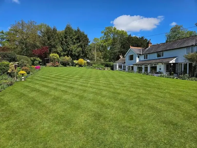 If Your Summer Lawn Is Thinning And Stressing You Out, Here Are 14 Care Tasks That Turn It Around (And 6 Things That Happen If You Skip Them)