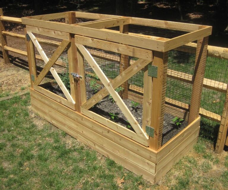 If Deer Keep Stripping Your Tomato Plants Overnight, Here Are 14 Fixes That Send Them Packing