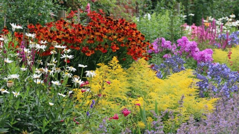 22 Fast-Spreading Perennials That Fill Your Beds Quickly Without Ever Taking Over