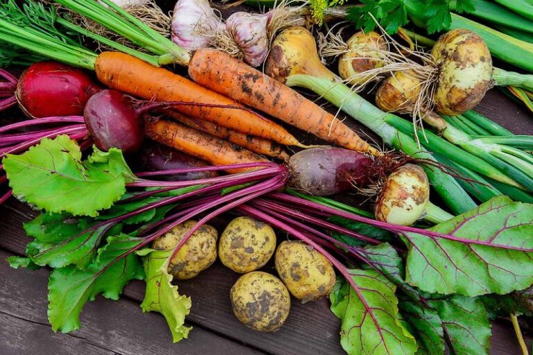 18 Fall Vegetables You Should Be Seeding Right Now For A Strong Autumn Harvest