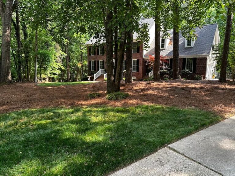 Pine Straw Or Mulch In North Carolina: Which One Actually Helps Reduce Ticks At Your Yard Border
