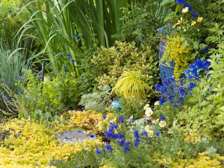 The North Carolina Native Border Plant That Defines A Walkway For Years Without Ever Being Edged
