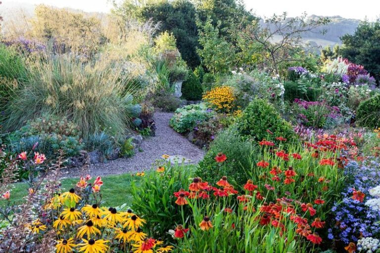 18 Tough Perennials That Come Back Every Year Once You Plant Them (No Replanting Needed)
