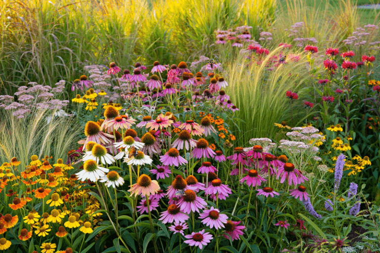 19 Small Perennials That Fill Bare Beds Fast Before This Summer Ends