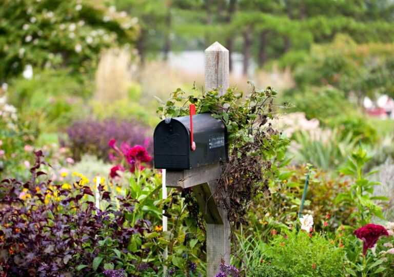 North Carolina Mailbox Flower Combos That Make Neighbors Slow Down As They Drive Past
