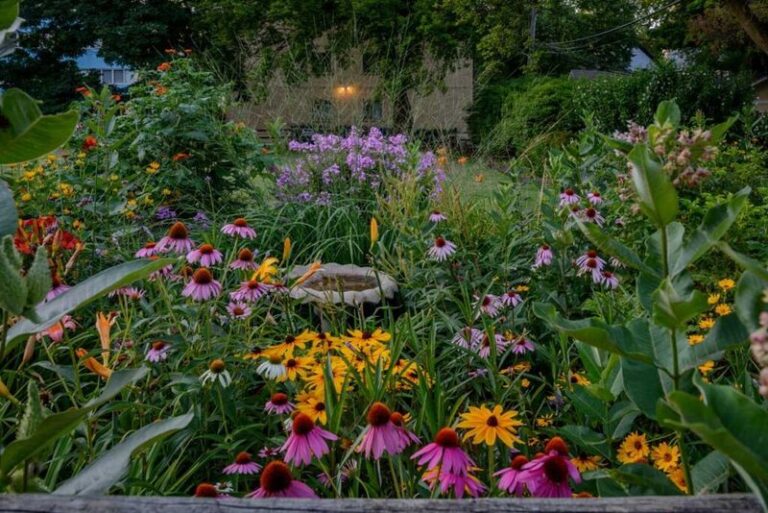 The North Carolina Native Perennials You Plant Once That Come Back Stronger Every Year Without Replanting