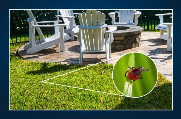 The Backyard Mulch Mistake North Carolina Gardeners Make That Quietly Turns Their Beds Into A Tick Haven