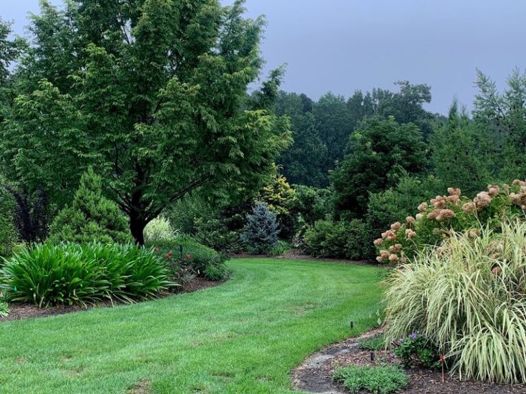 The Fast-Growing North Carolina Shade Trees You Plant Near The Patio Without Wrecking The Foundation