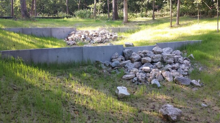 The North Carolina Native Grasses That Stop Your Backyard Ditch From Washing Out Every Storm