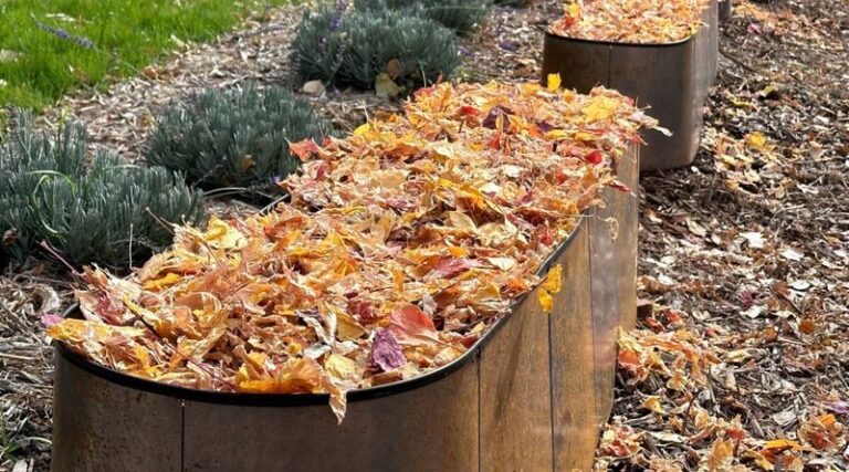If You Rake Every Leaf Off Your Beds This Fall, Here Are 13 Spots Where They Should Stay
