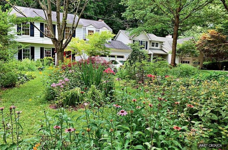 North Carolina Homeowners Can Legally Refuse To Rip Out These HOA-Flagged Native Plants