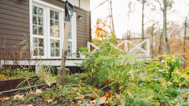 If You Want Fewer Slugs, Aphids, And Bare Spots Next Spring, Here Are 12 Fall Jobs Your Garden Quietly Needs Now