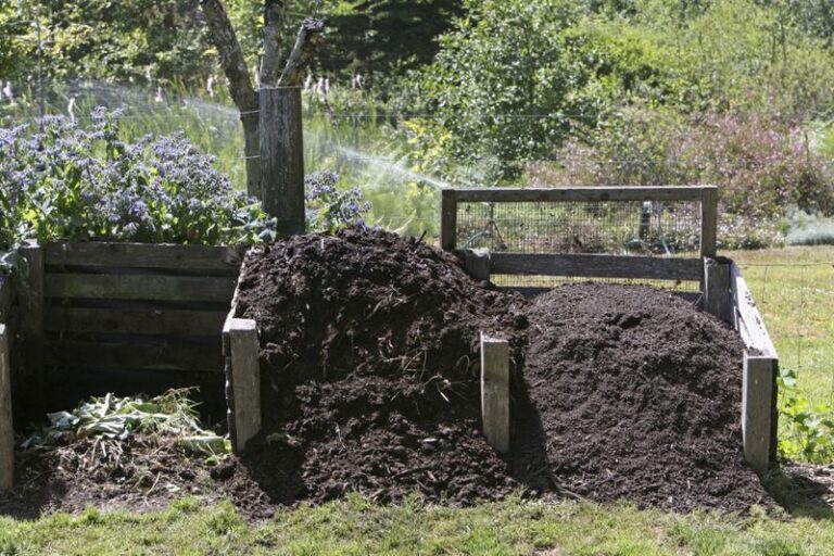 The One Thing North Carolina Compost Piles Need Before September Ends Or They Stall All Winter