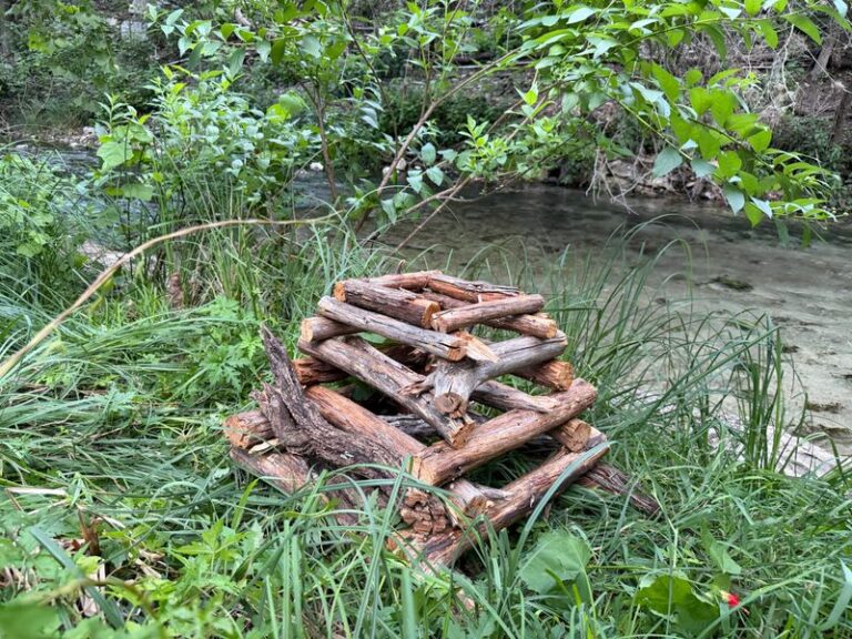 The North Carolina Native Plants That Shelter Firefly Larvae Through The Winter So Next Summer Glows