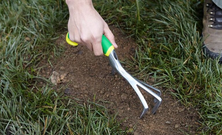 If Your Lawn Came Out Of Summer Thin And Patchy, Here’s How To Patch Small Spots In Fall Without Powered Equipment