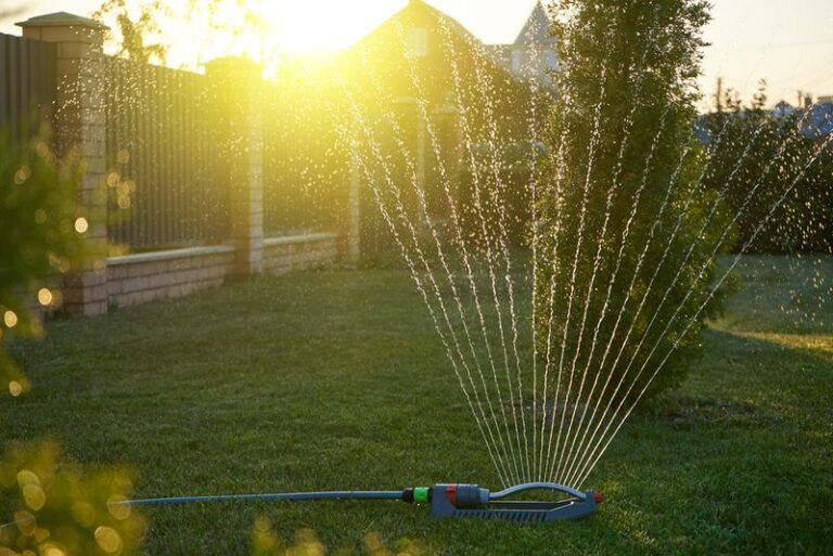 If You Water Your Garden At The Wrong Hour, Here’s The Simple Schedule That Keeps Every Plant Healthier