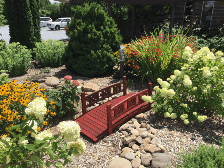 The September Garden Tasks Every North Carolina Yard Needs Before The Weather Turns