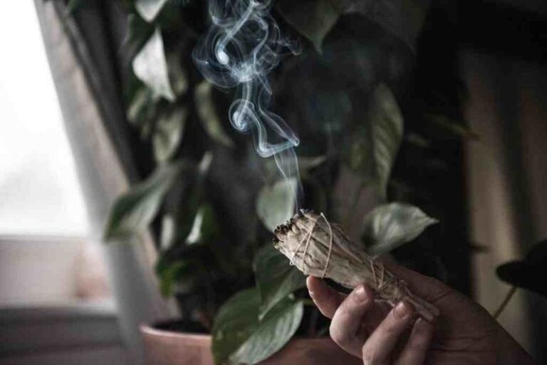 Burning Rosemary, Thyme, and Bay: What a Medicinal Smoke Study Does and Does Not Show About Airborne Bacteria