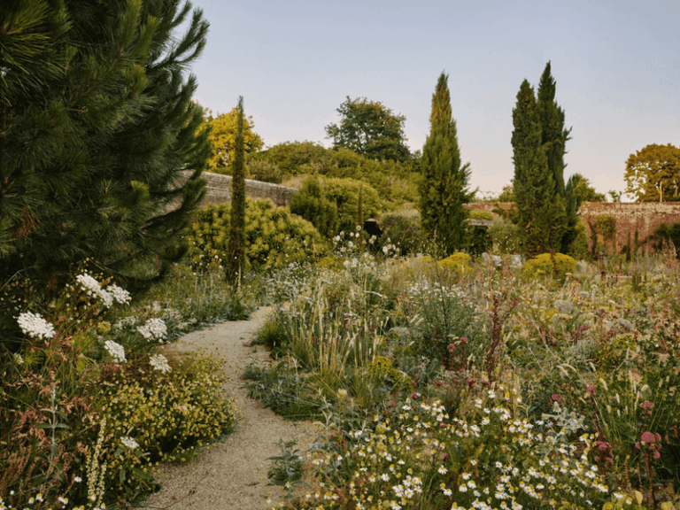 If Your Garden Looks A Little Messy Right Now, Here Are 11 Signs It’s Actually A Thriving Ecosystem