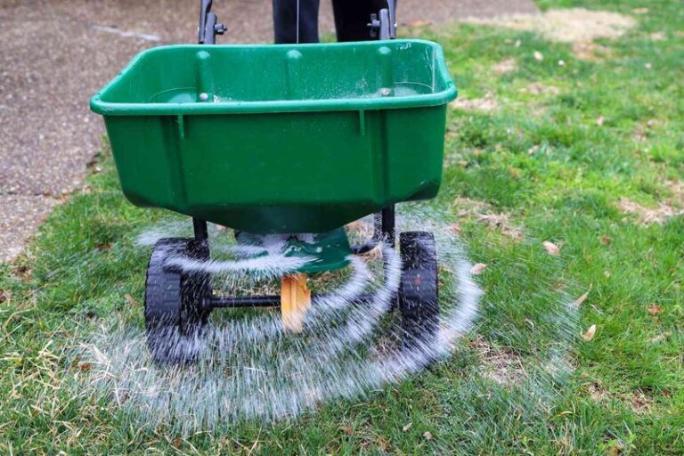 14 Surefire Ways To Get Grass Seed To Actually Take This Fall (Plus 7 Mistakes That Waste Every Bag)