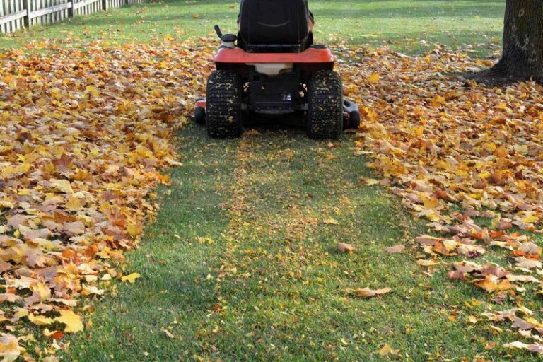 Leaves Smothering Your Lawn Right Now Can Damage the Grass Underneath by Spring: Mow Manageable Amounts Instead of Raking