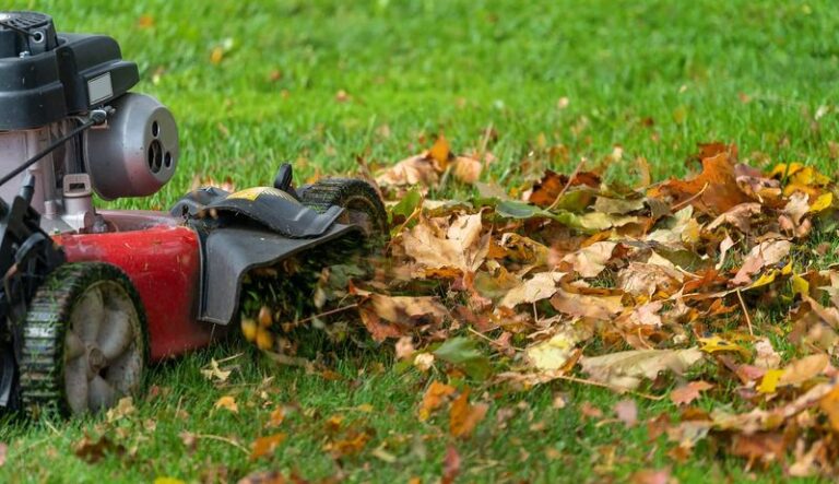 Don’t Rake Every Leaf Off Your Lawn This Fall – Mowing Them Into The Grass Can Work