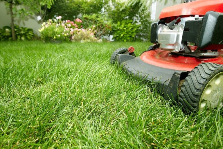 How to Mow New Tall Fescue Without Damaging Seedlings in North Carolina