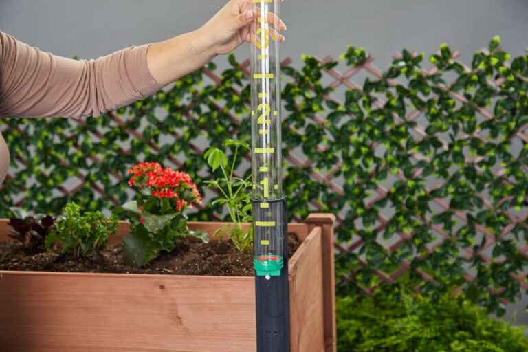 Watering At The Wrong Hour Stresses Your Garden More Than Skipping It – 11 Fall Watering Rules That Keep Roots Healthy