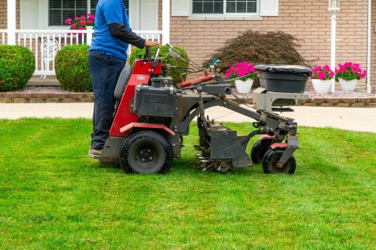 Pulling Creeping Charlie By Hand Never Works – 8 Chemical-Free Tricks That Actually Get The Roots This Fall