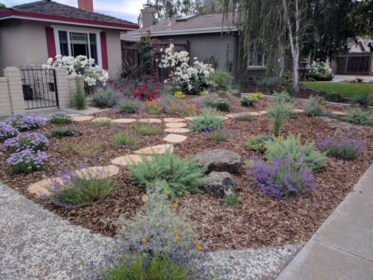 Can a North Carolina Neighbor Force You to Remove Native Yard Plants?