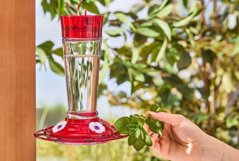 Ants Swarming Your Hummingbird Feeder? These 15 Simple Tricks Keep Them From Ever Reaching The Nectar