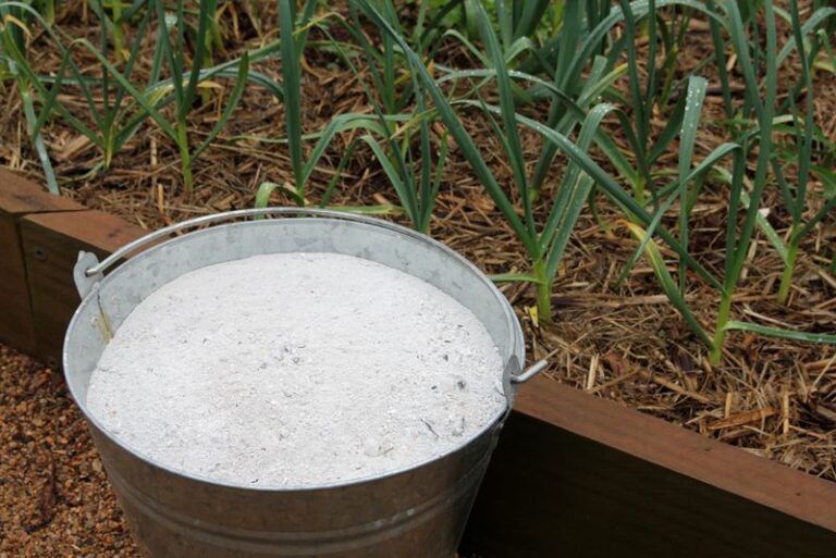 Wood Ash in North Carolina Vegetable Beds: A Soil-Test-Guided Fall Option