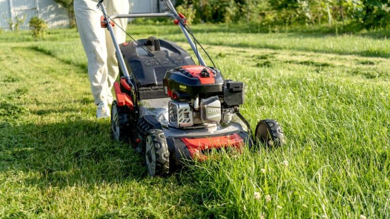 This Mowing Habit Is Quietly Inviting Crabgrass Back Into Your Lawn Next Spring (And How To Fix It Now)