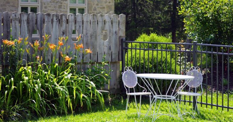 The Winter Yard Chores That Quietly Keep Ticks Alive Around Your North Carolina Home Until Spring