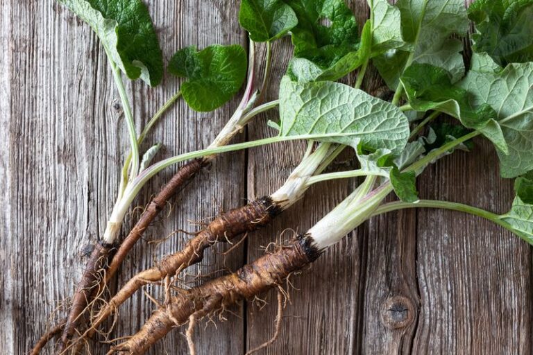 That Weed You Keep Pulling From Your Garden Beds Hides A Root Worth More Than Most Crops You Plant