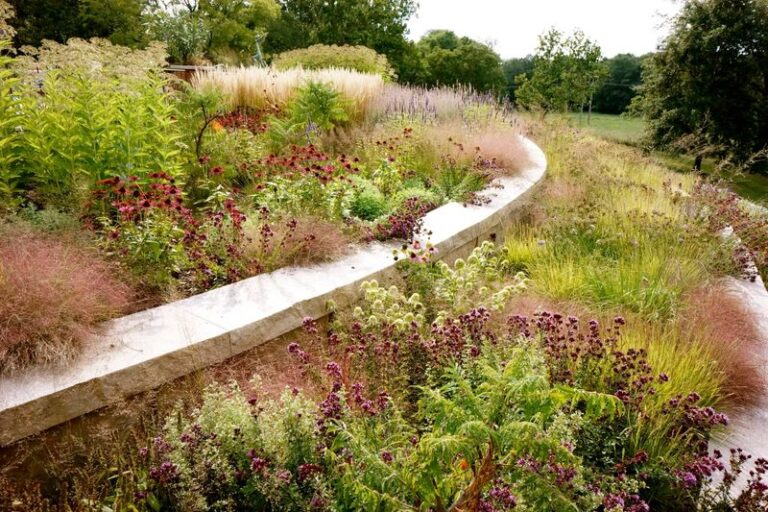 Purple Lovegrass for a Sunny, Well-Drained Driveway Edge in North Carolina
