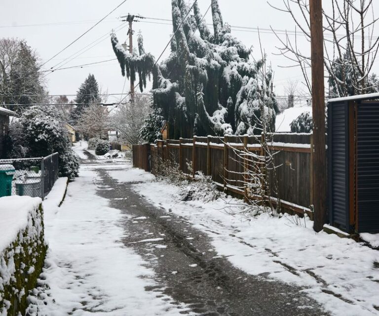 Stop Spreading Road Salt Near Your Garden Beds This Winter – Here’s What Protects Your Soil Instead