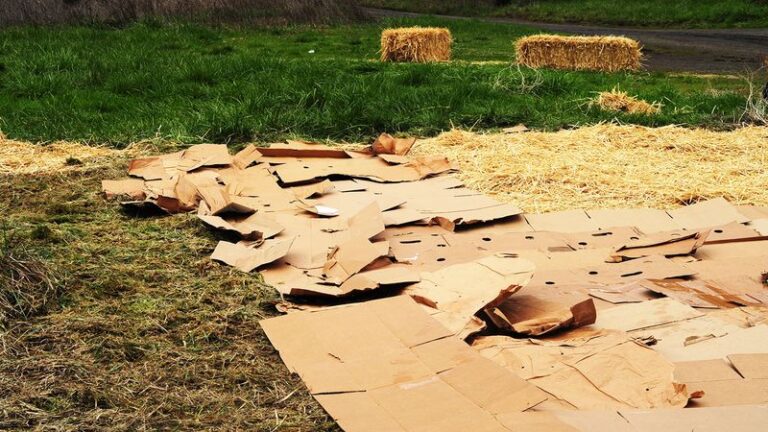 Leaves Piling Up On Your Lawn Aren’t Trash – 15 Ways To Turn Them Into Free Garden Gold Before Winter