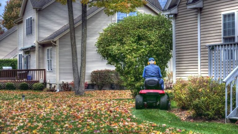What Really Happens To Your North Carolina Lawn When You Mow The Leaves Instead Of Raking Them