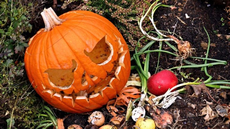 Recycle Your Spent Jack-O’-Lantern Into Your Vegetable Bed Soil This Fall