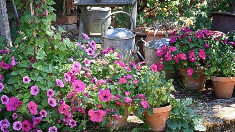 These 9 Everyday Mistakes Turn Your Petunias Into Leggy Stems With Barely Any Flowers