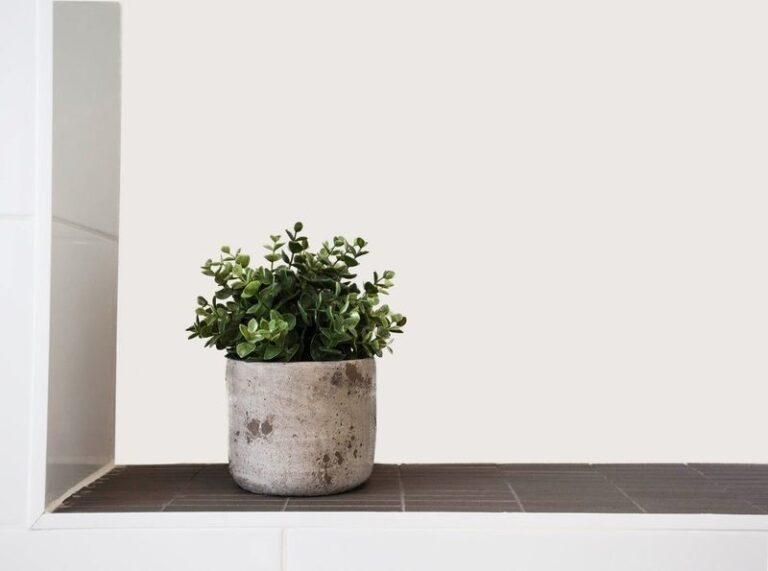 The Quiet Step North Carolina Gardeners Take Before Bringing Potted Plants Indoors So Pests Never Spread To Houseplants