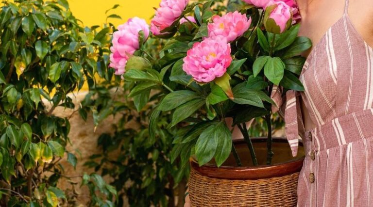 10 Things To Do For Your Peonies This Fall So They Come Back With More Blooms Next Spring