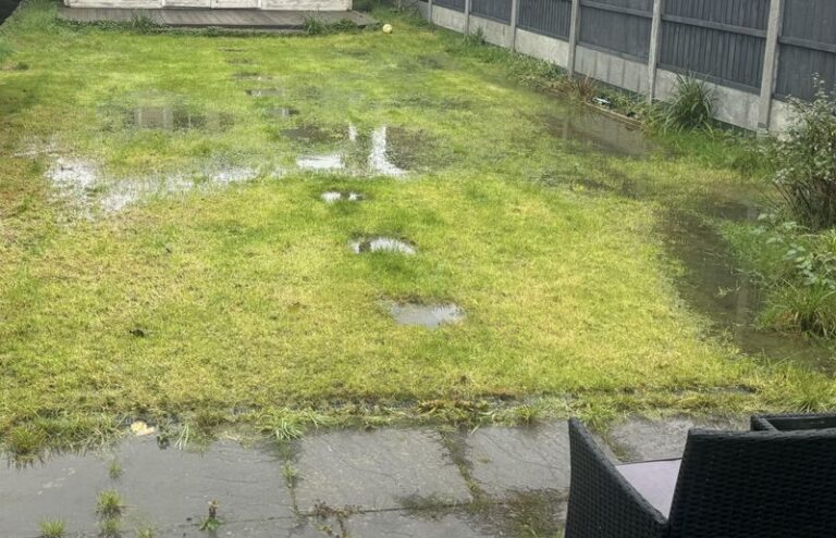 Creeping Charlie Keeps Coming Back Because Of What You Leave Behind – 9 Chemical-Free Ways To Finally Clear Your Lawn
