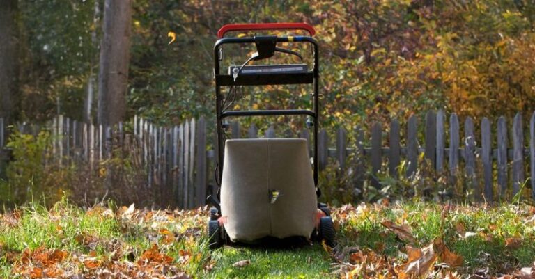 Your Lawn Is Still Growing Under All Those Fallen Leaves, So Here’s What To Do Before The Snow