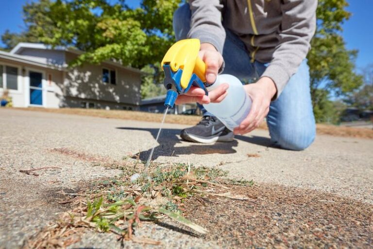 Pantry Vinegar May Scorch Small Driveway Weeds, But It Is Not a Proven Winner Over a $20 Spray