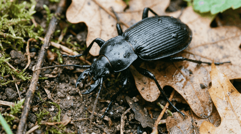 If These 15 Animals Show Up In Your Yard This Fall, Your Garden Is Healthier Than You Think