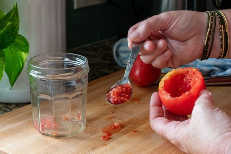 Saving Tomato Seeds From Your Best Plant So You Can Try Growing Them Next Spring